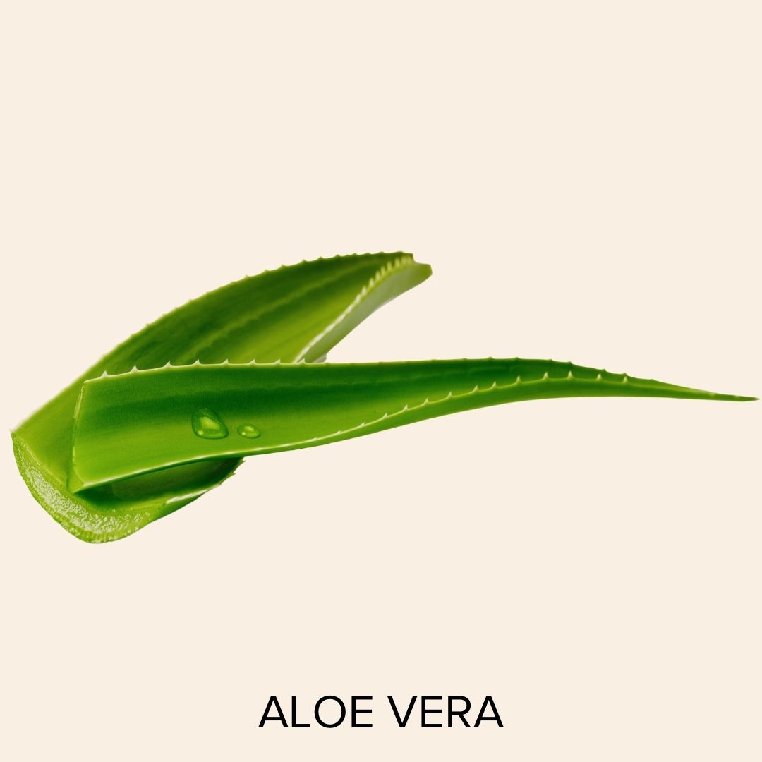 Aloe Barbadensis Leaf Juice