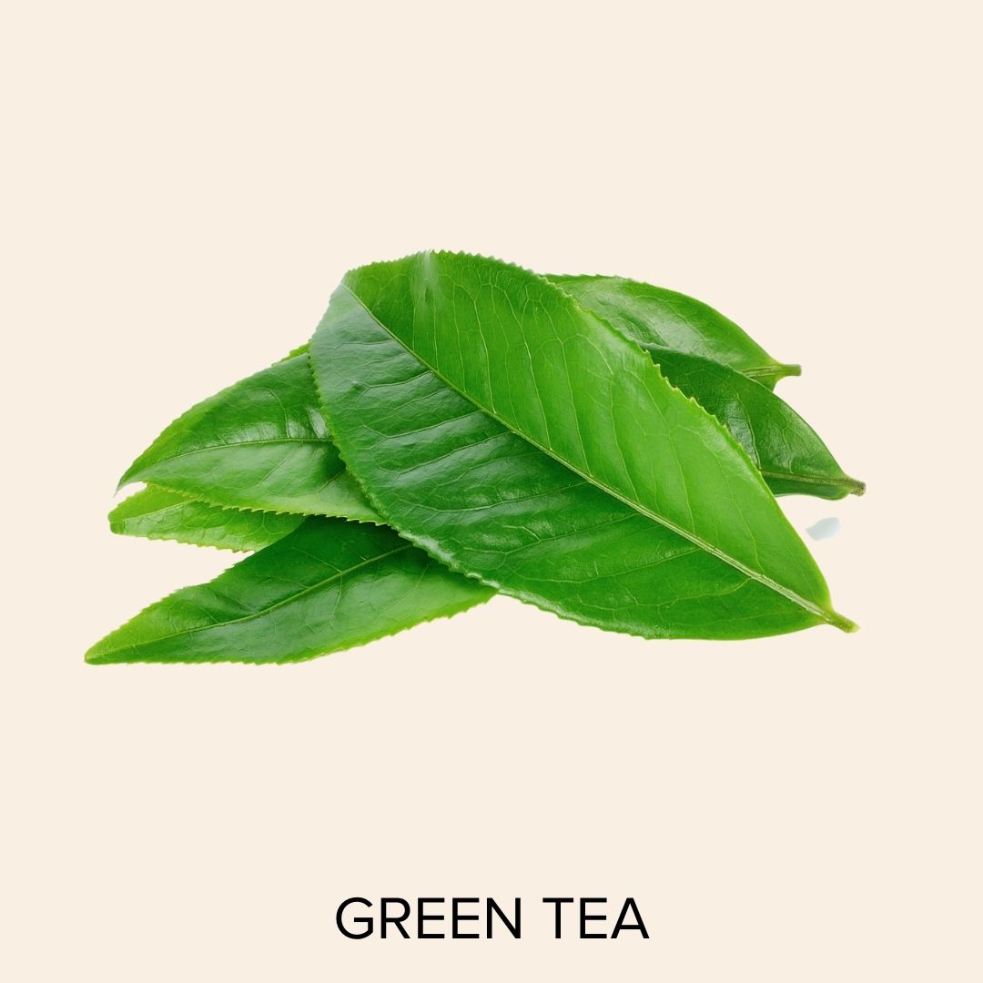 Camellia Sinensis Leaf Extract